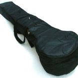 buy-online-sitar-carry-case-with-affordable-cost-price-divya-vadya