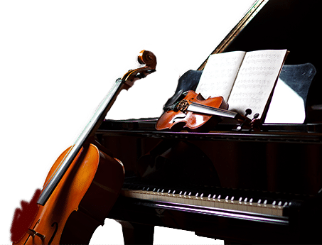 top-brand-shop-in-music-instruments-for-beginners-professional-players-divya-vadya