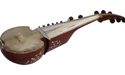 Buy Sarod Floral instrument online music store cost discounts price shop India