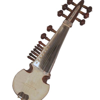 Buy Sarod beginner online music store cost discounts low price instruments shop India