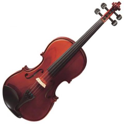 Buy professional Violin instrument online music store cost discounts low price shop India