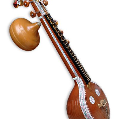 Buy Veena professional instrument online music store cost discounts price shop India