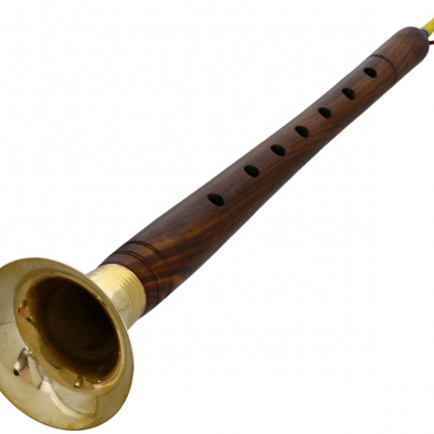 Buy Shehnai professional instrument online music store cost discounts price shop India